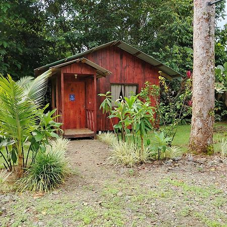 Citronela Lodge Corcovado Drakes Bay Esterno foto