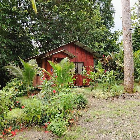 Citronela Lodge Corcovado Drakes Bay Esterno foto