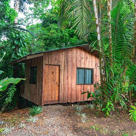 Citronela Lodge Corcovado Drakes Bay Esterno foto