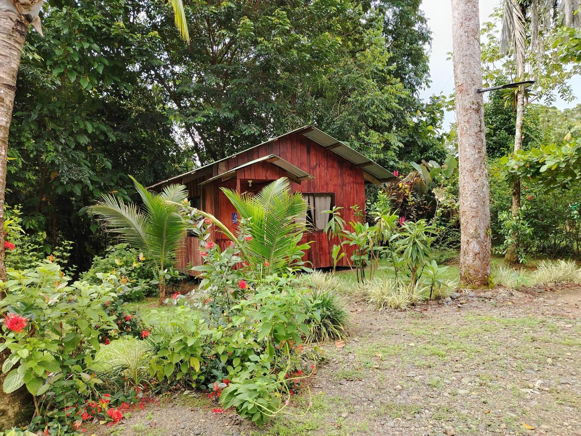 Citronela Lodge Corcovado Drakes Bay Esterno foto