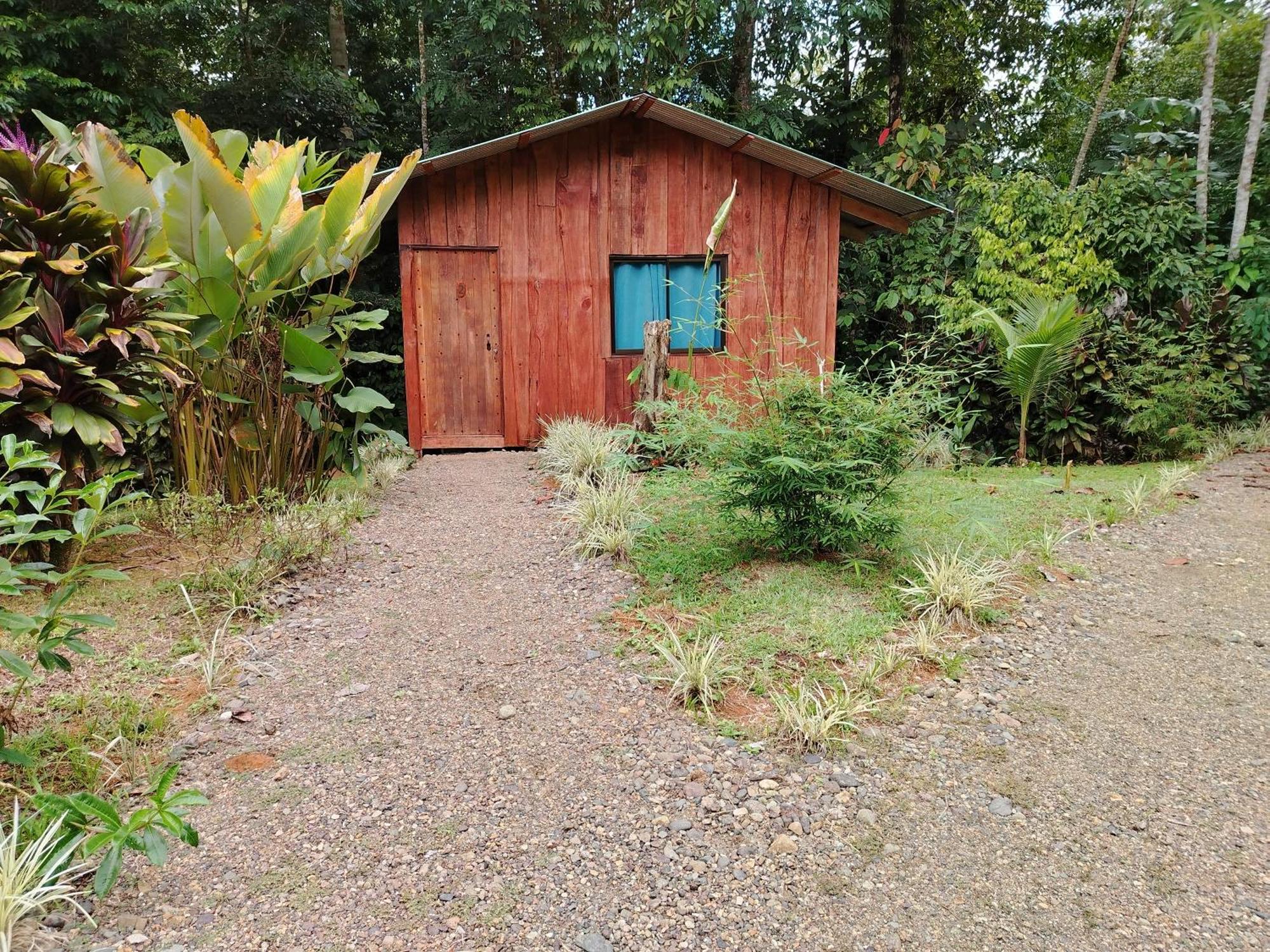 Citronela Lodge Corcovado Drakes Bay Esterno foto