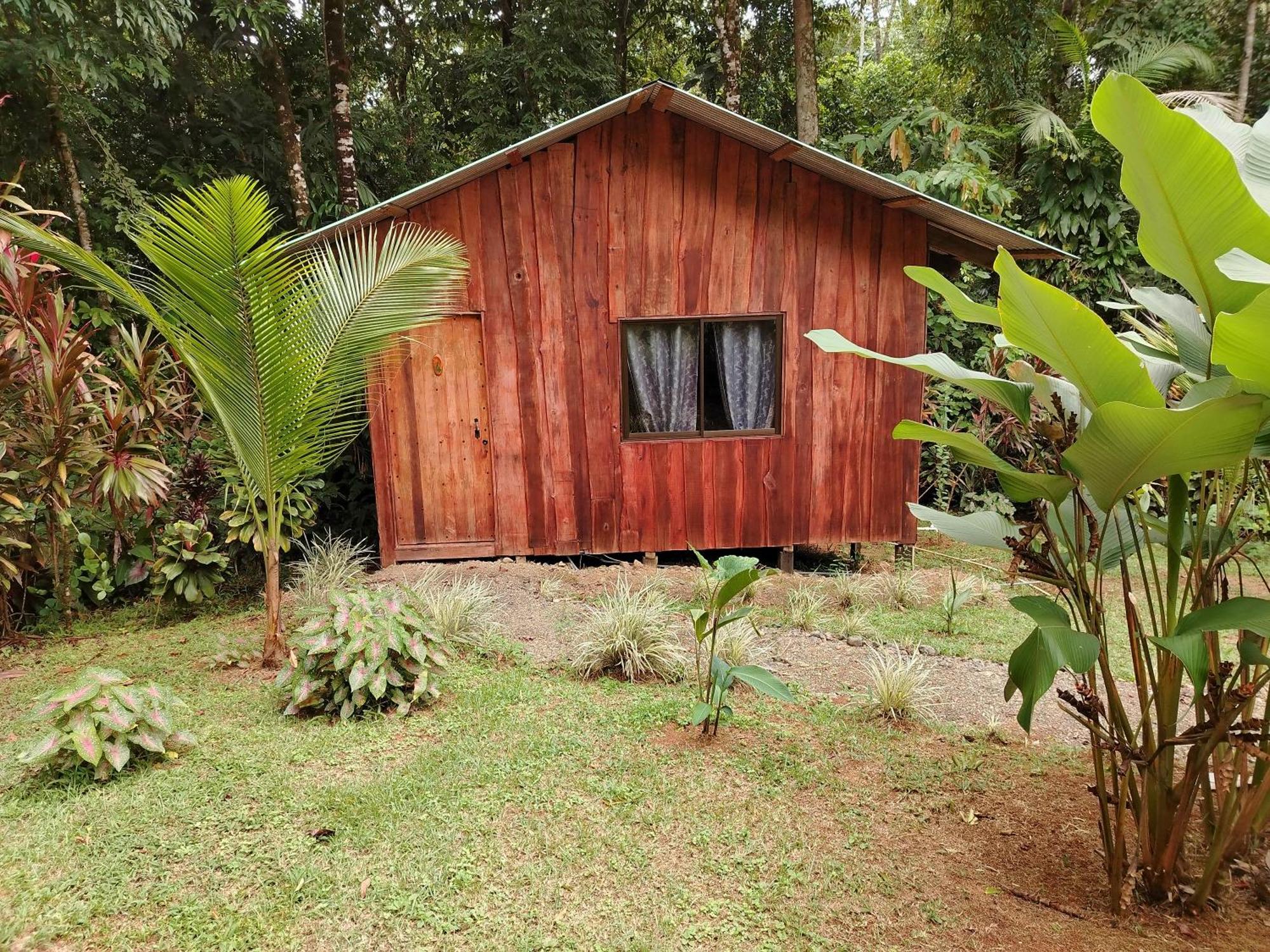Citronela Lodge Corcovado Drakes Bay Esterno foto