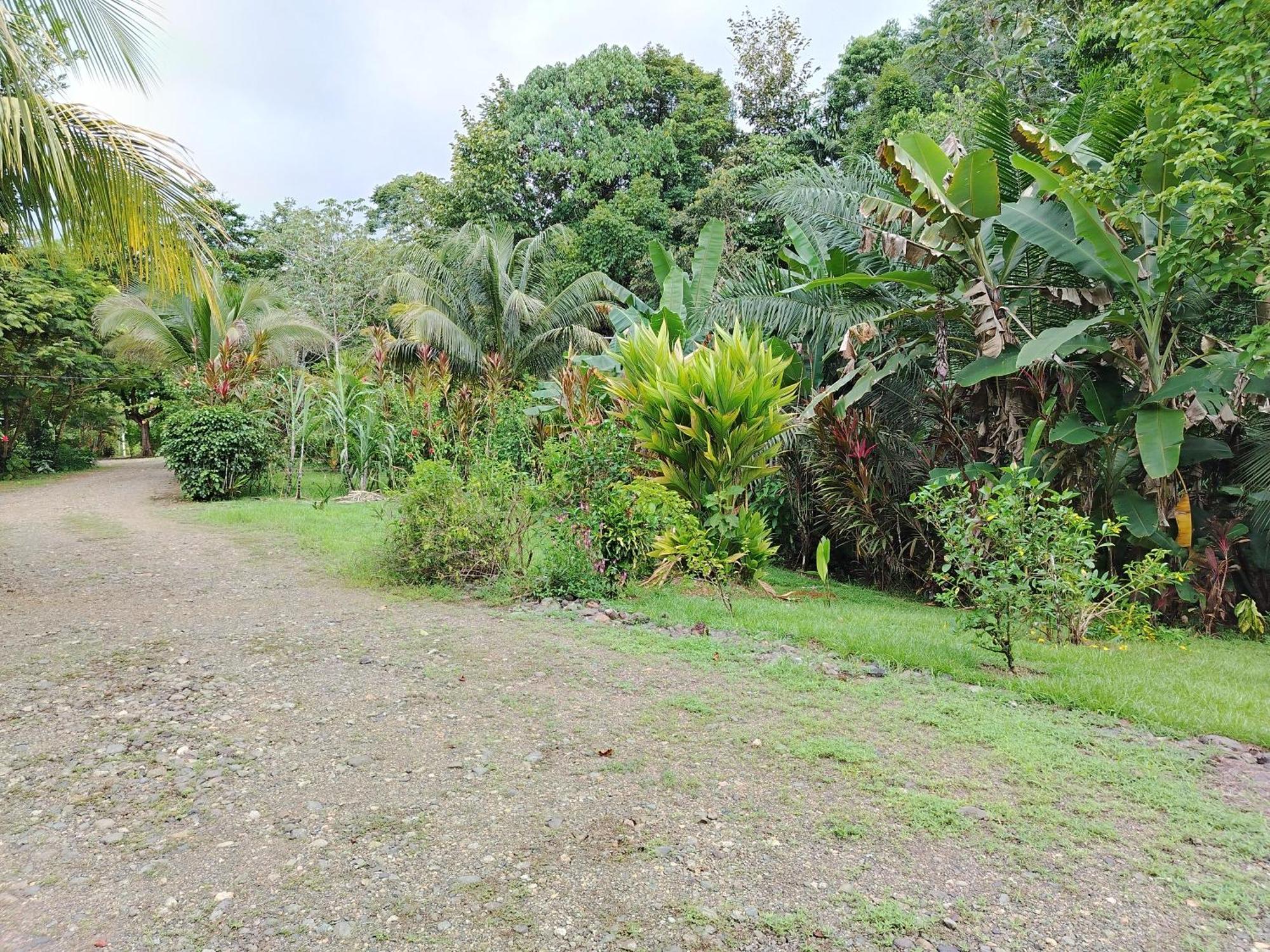 Citronela Lodge Corcovado Drakes Bay Esterno foto