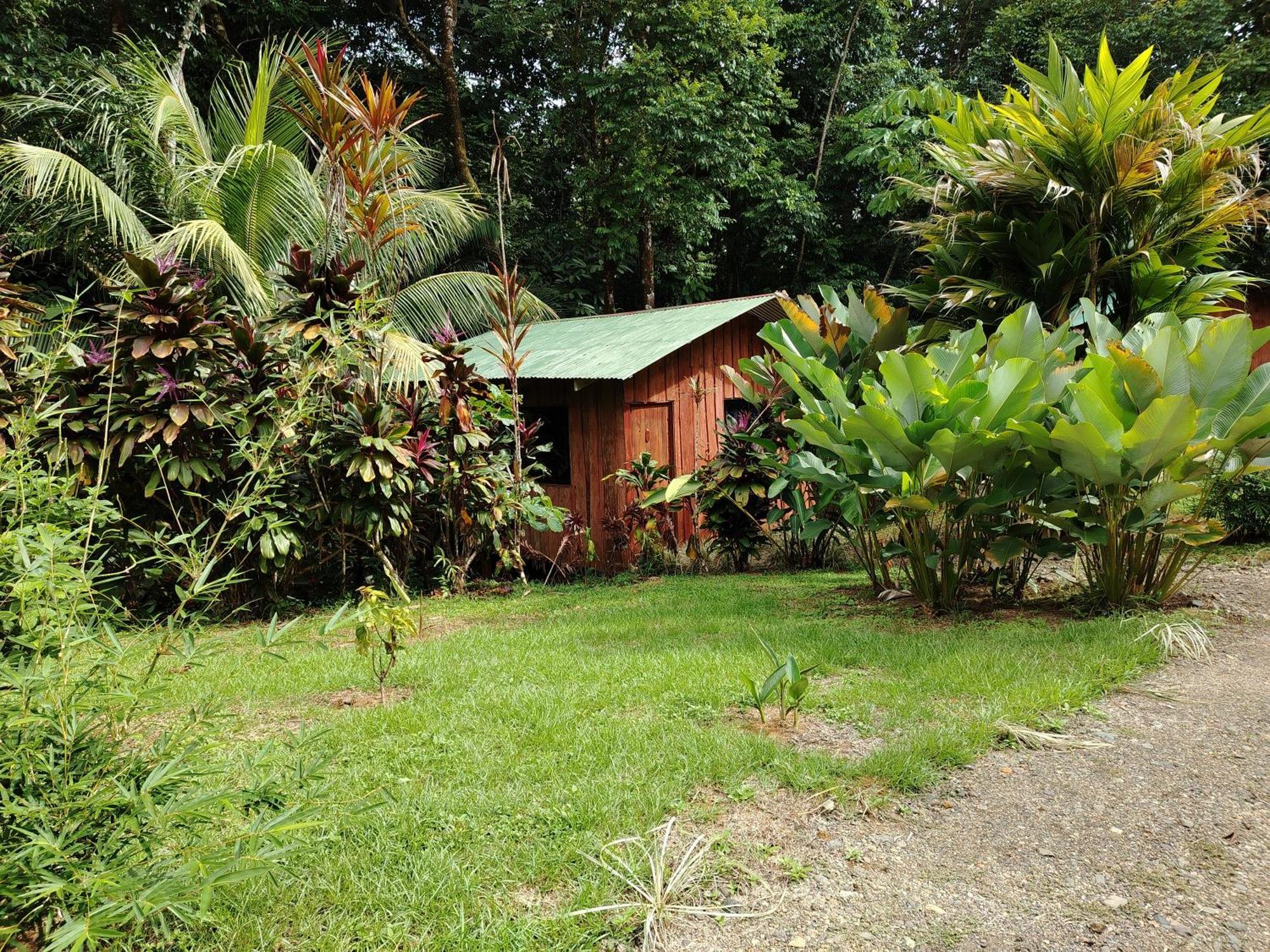 Citronela Lodge Corcovado Drakes Bay Esterno foto