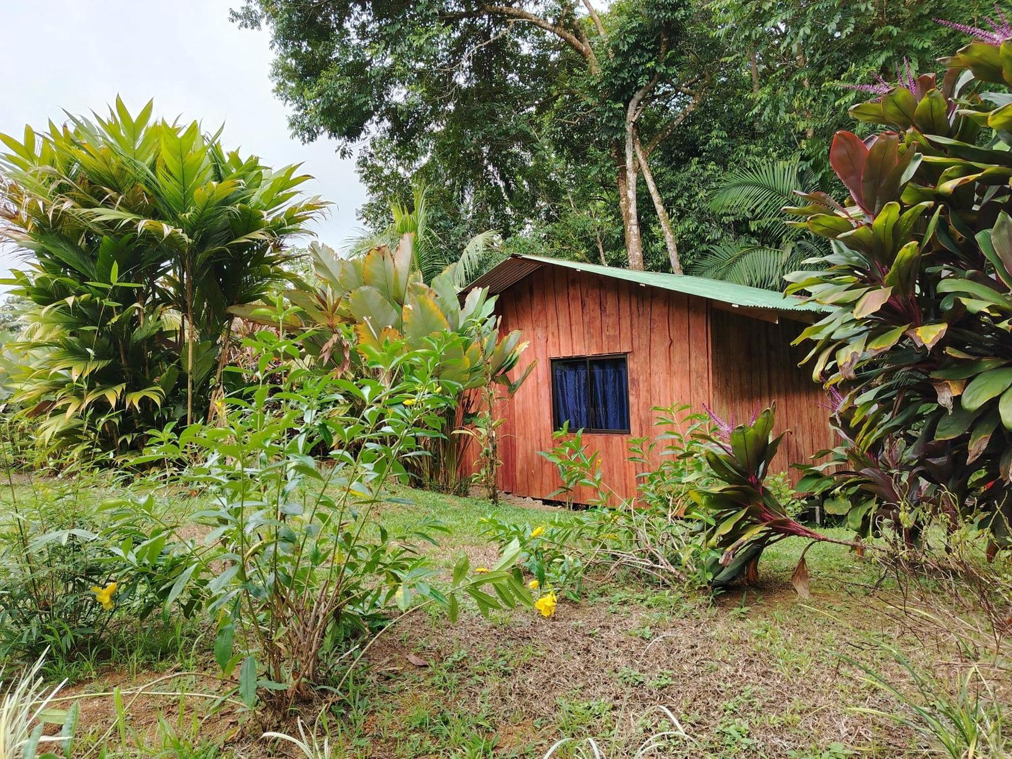 Citronela Lodge Corcovado Drakes Bay Esterno foto
