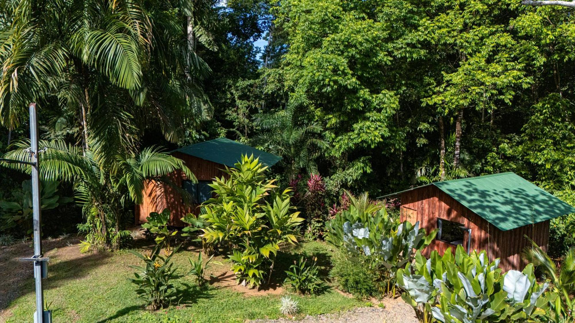 Citronela Lodge Corcovado Drakes Bay Esterno foto