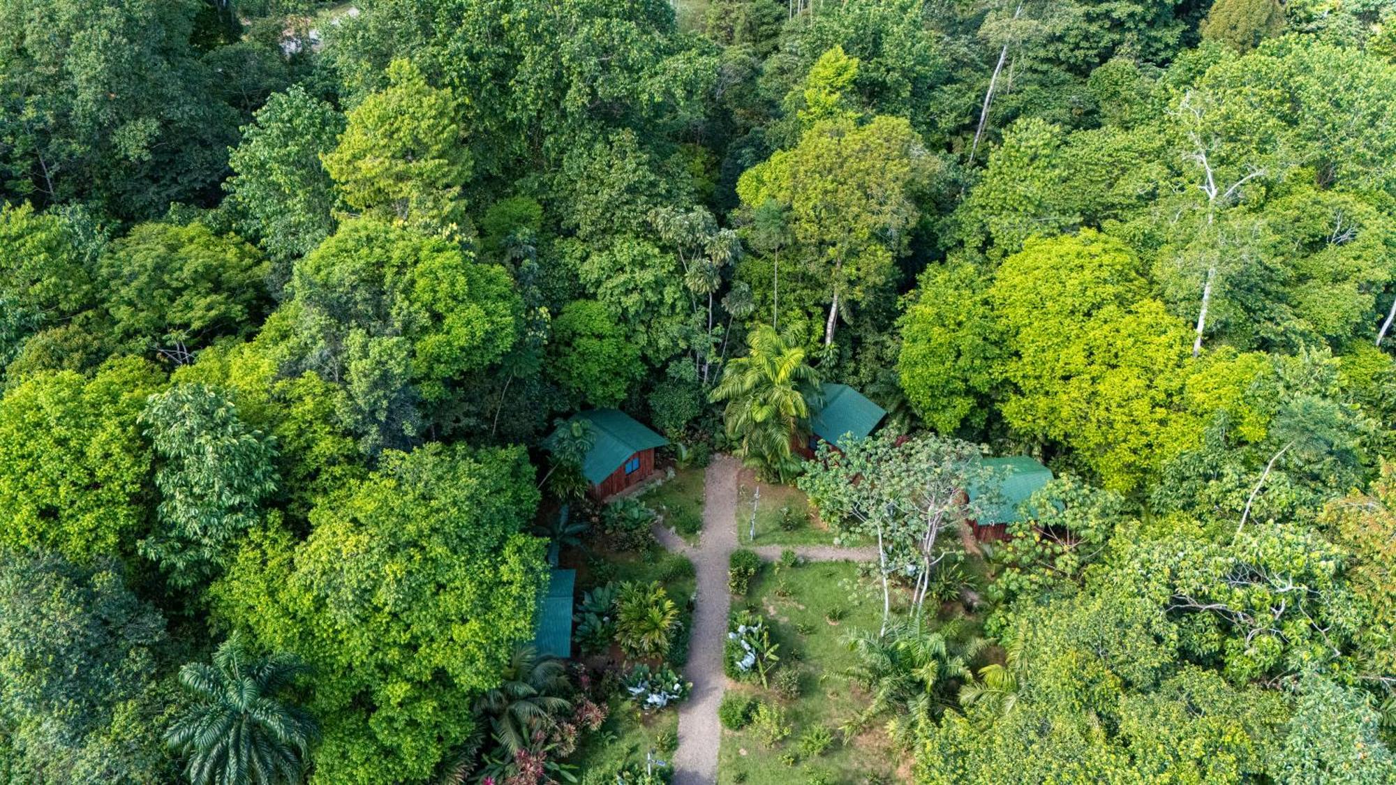 Citronela Lodge Corcovado Drakes Bay Esterno foto