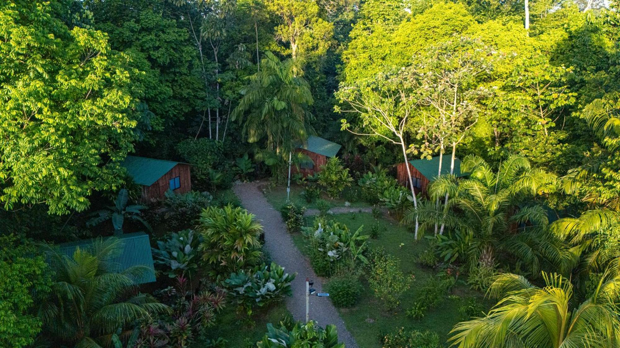 Citronela Lodge Corcovado Drakes Bay Esterno foto