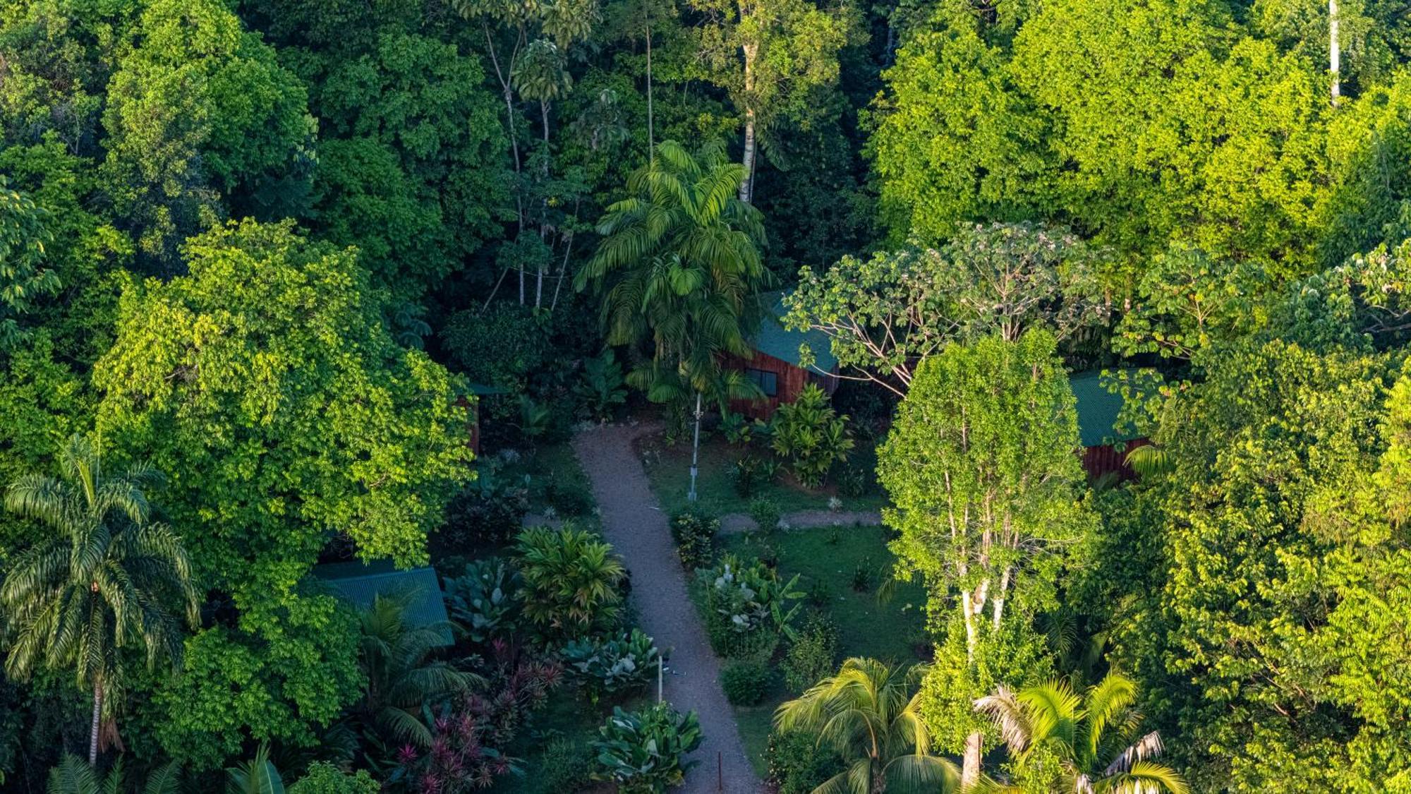 Citronela Lodge Corcovado Drakes Bay Esterno foto