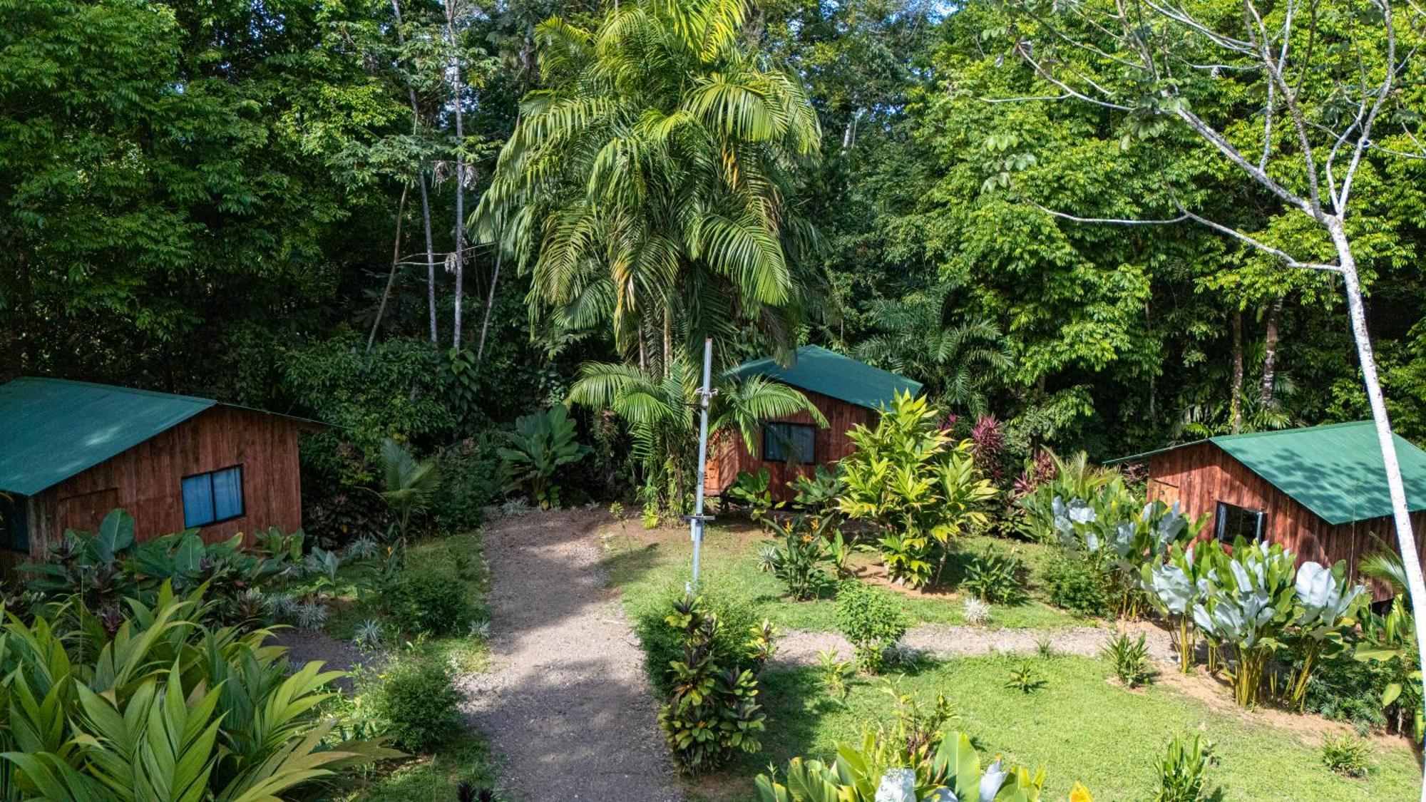 Citronela Lodge Corcovado Drakes Bay Esterno foto