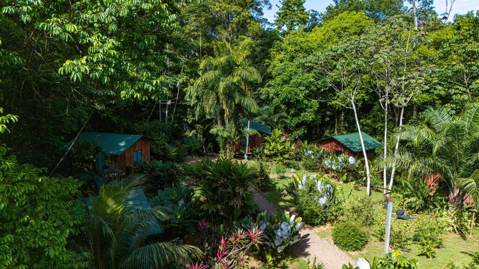 Citronela Lodge Corcovado Drakes Bay Esterno foto