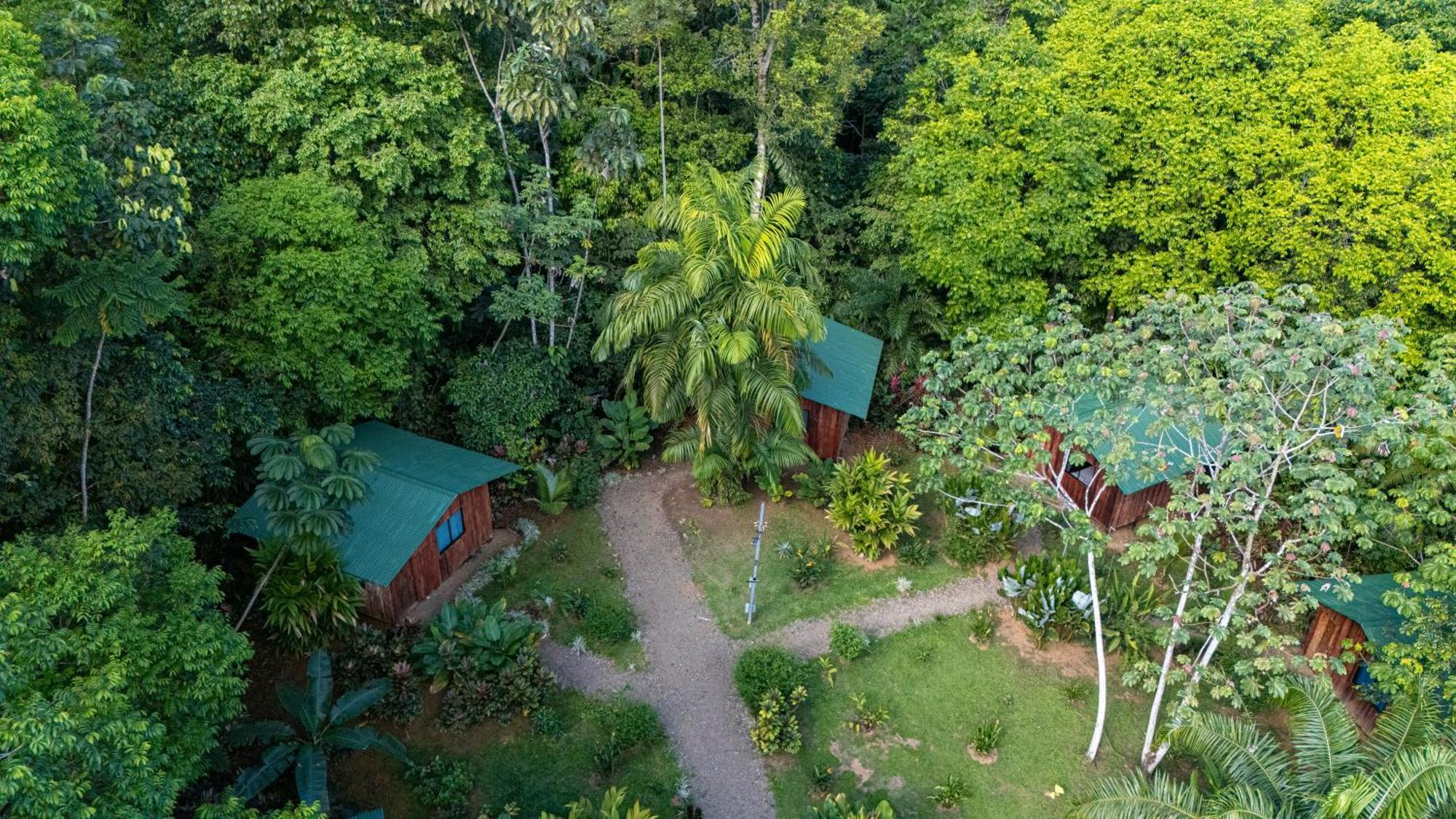 Citronela Lodge Corcovado Drakes Bay Esterno foto