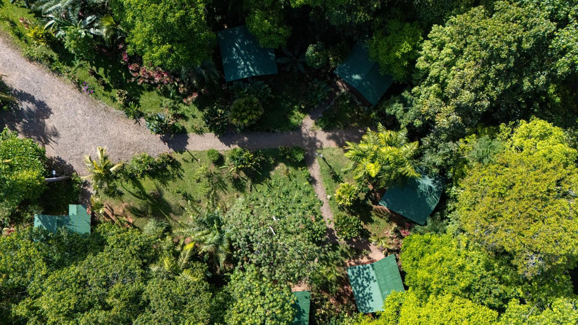 Citronela Lodge Corcovado Drakes Bay Esterno foto