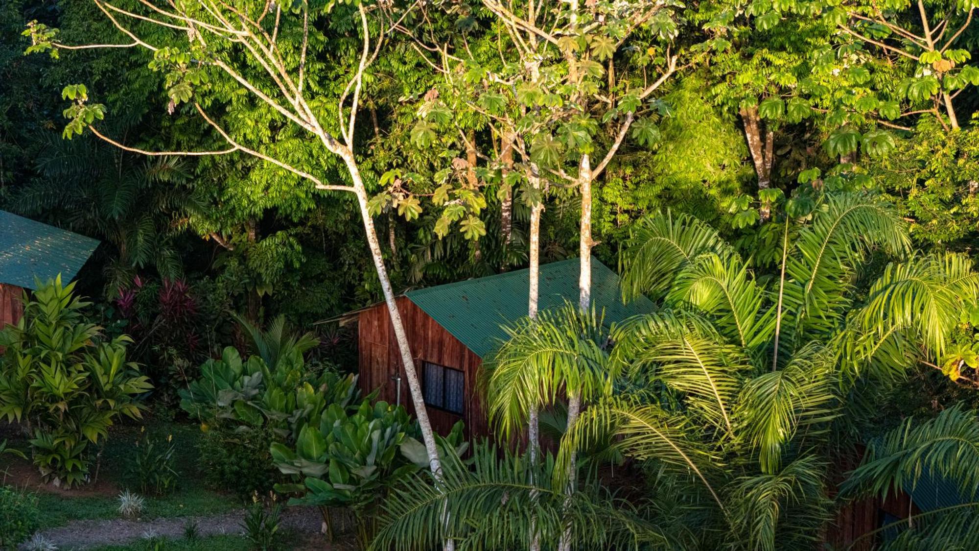 Citronela Lodge Corcovado Drakes Bay Esterno foto