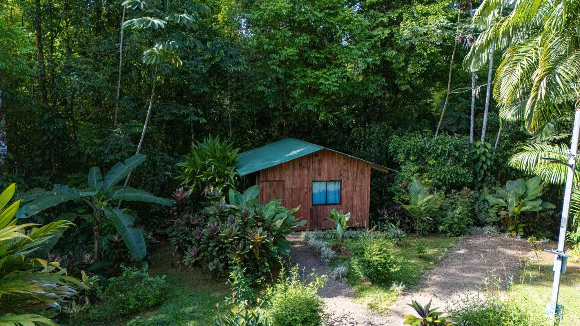 Citronela Lodge Corcovado Drakes Bay Esterno foto