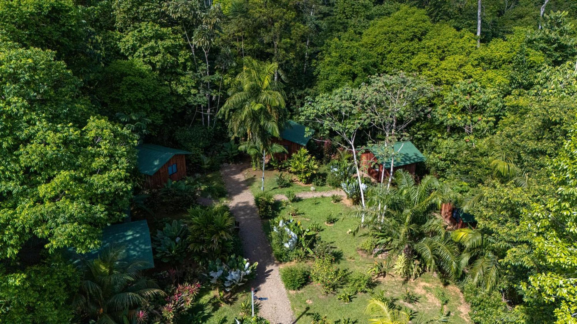 Citronela Lodge Corcovado Drakes Bay Esterno foto