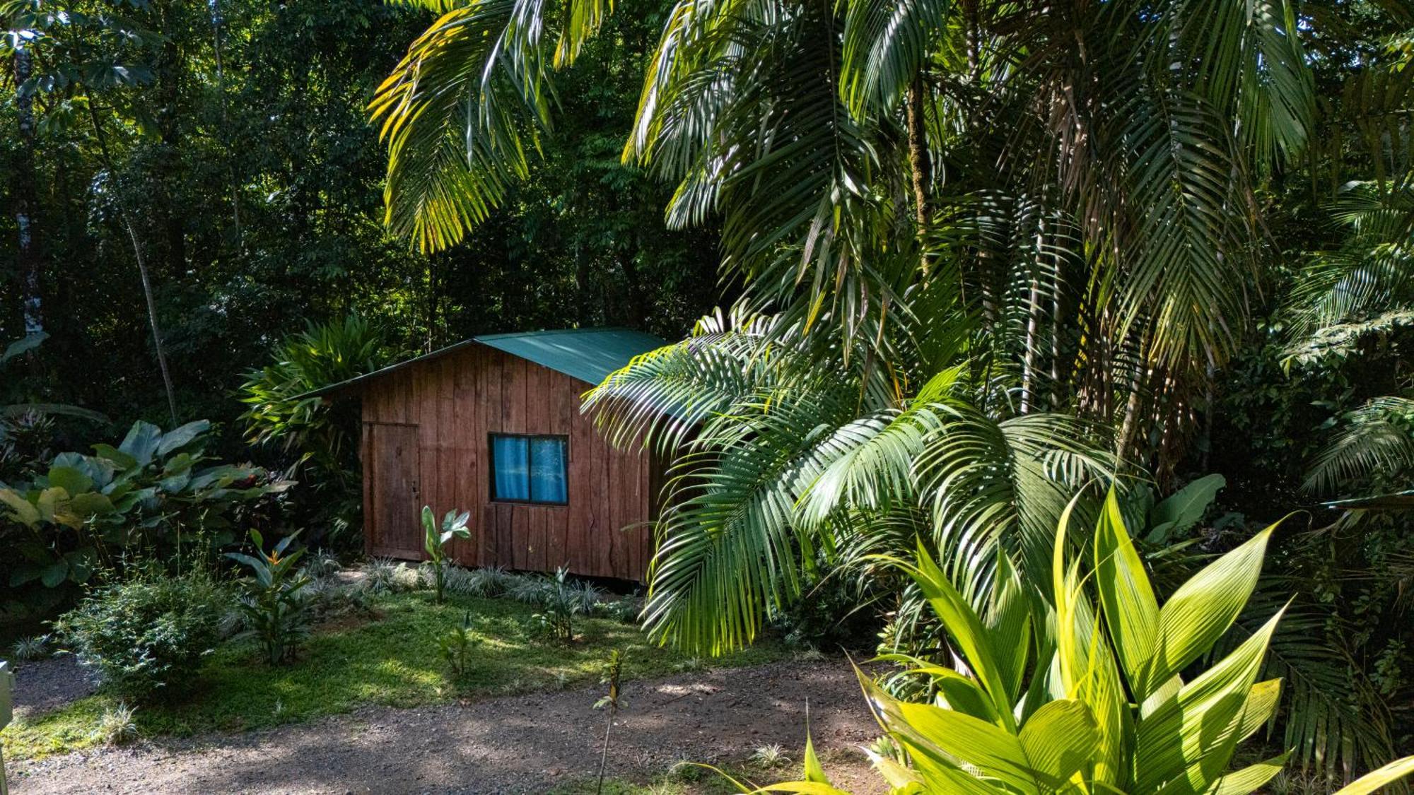 Citronela Lodge Corcovado Drakes Bay Esterno foto
