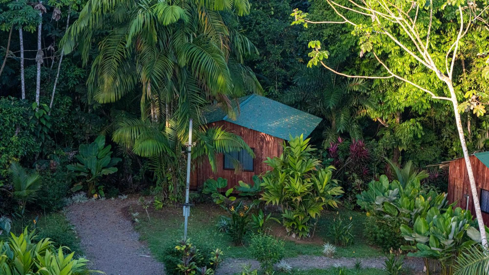 Citronela Lodge Corcovado Drakes Bay Esterno foto