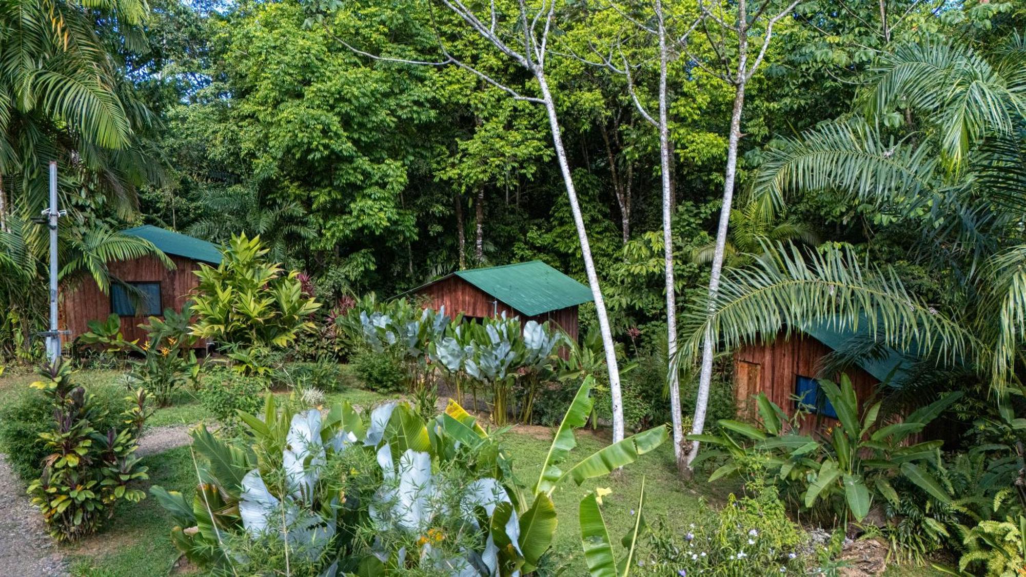 Citronela Lodge Corcovado Drakes Bay Esterno foto