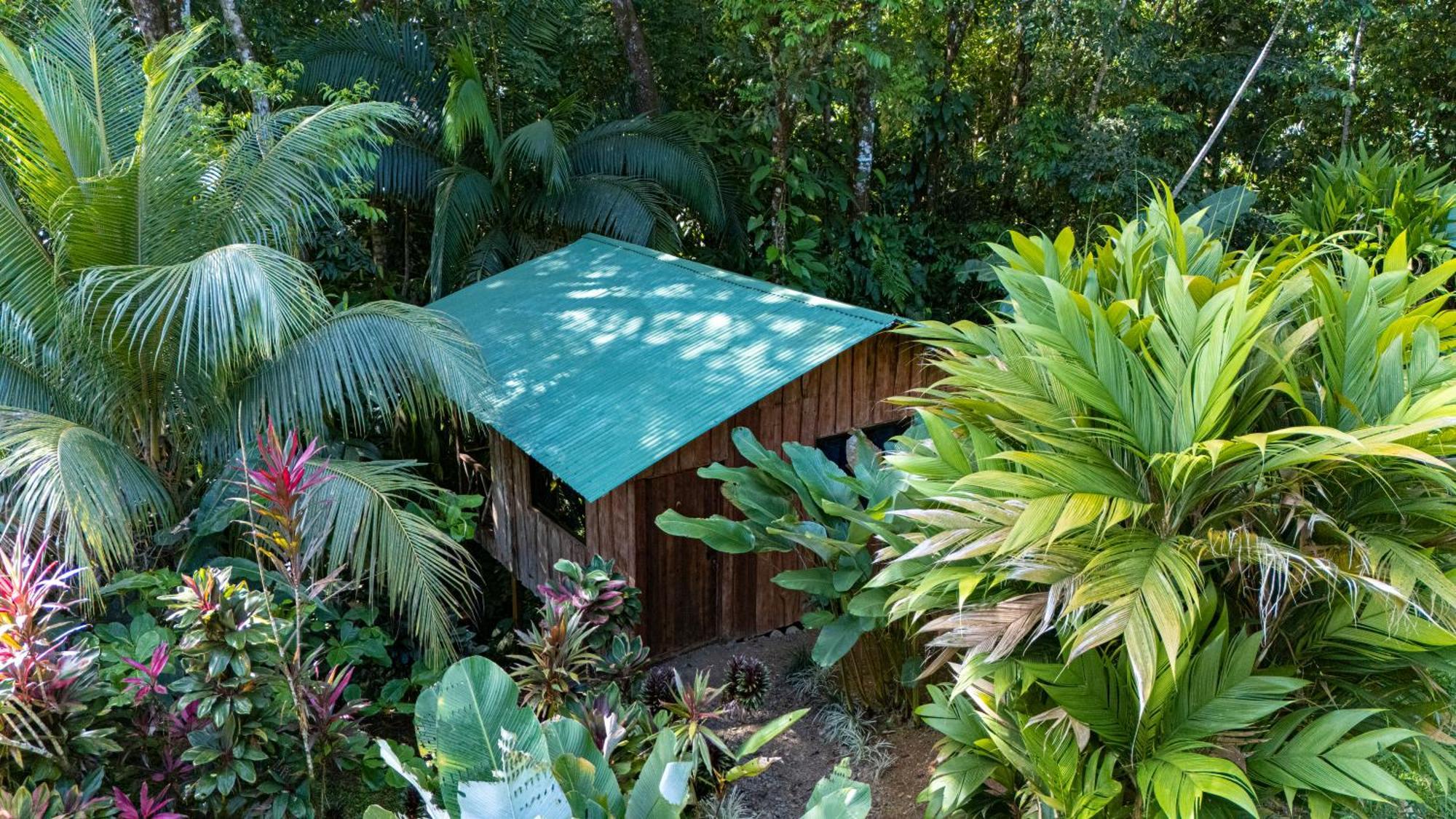 Citronela Lodge Corcovado Drakes Bay Esterno foto