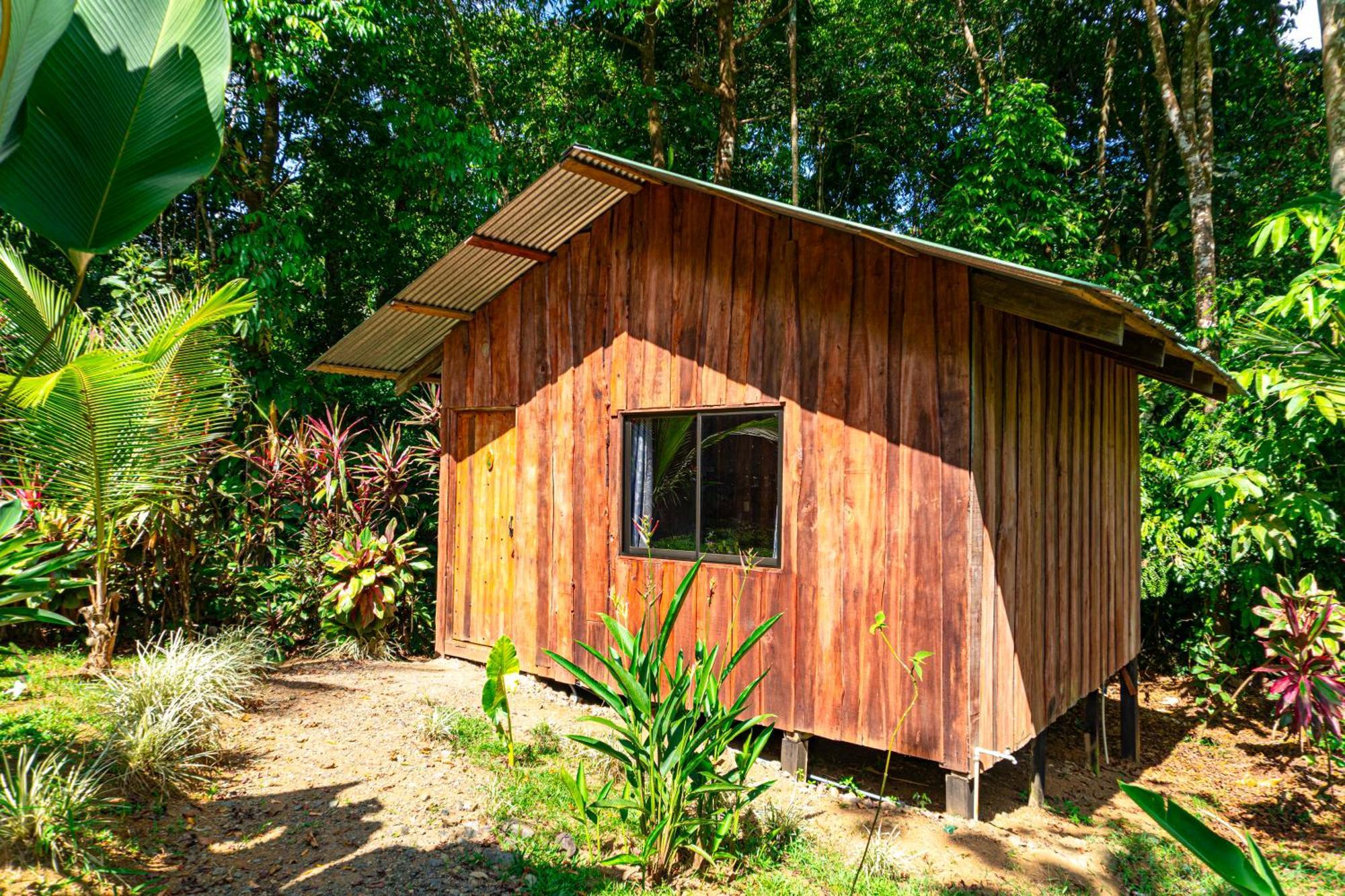 Citronela Lodge Corcovado Drakes Bay Esterno foto