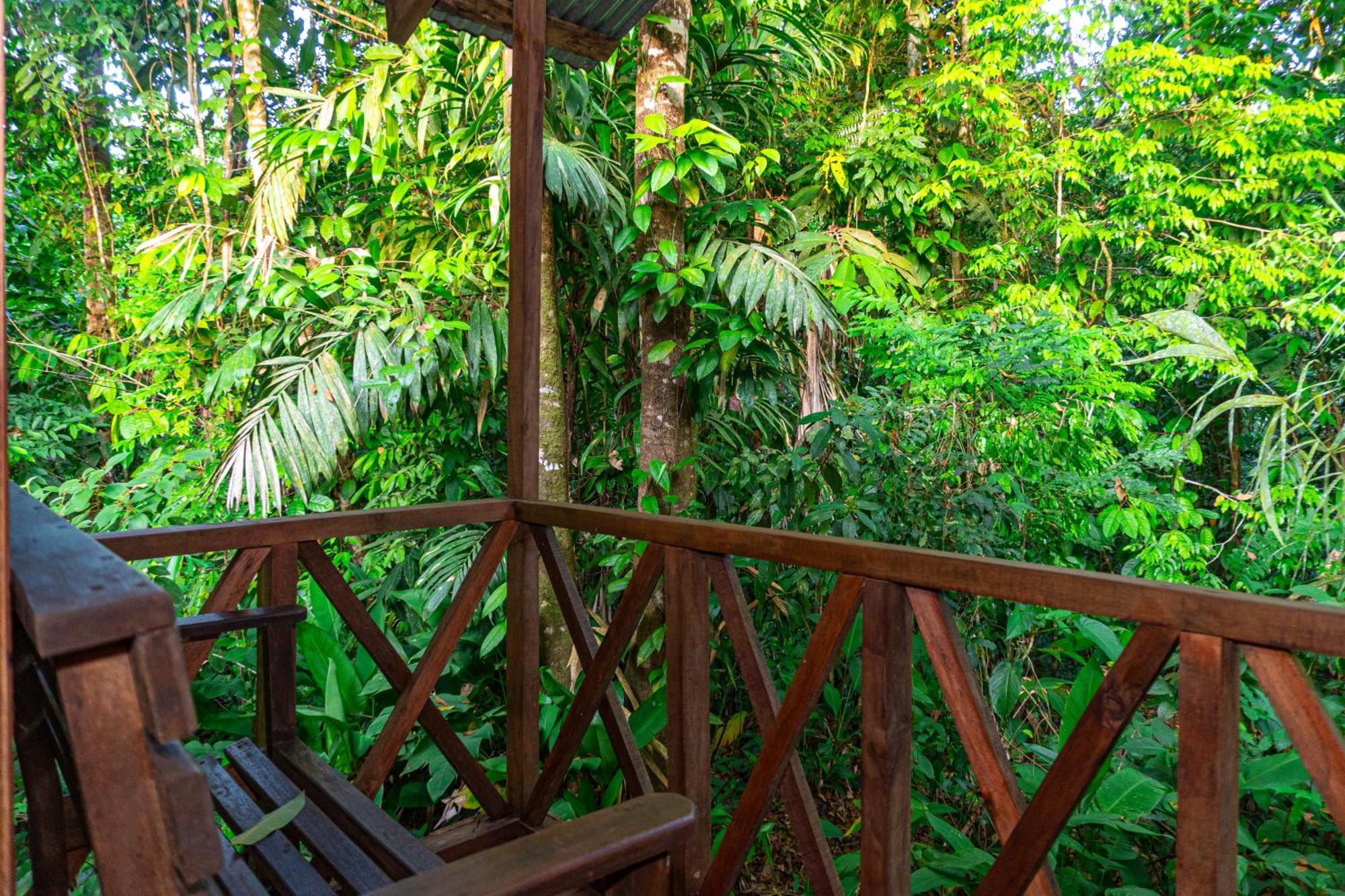 Citronela Lodge Corcovado Drakes Bay Esterno foto