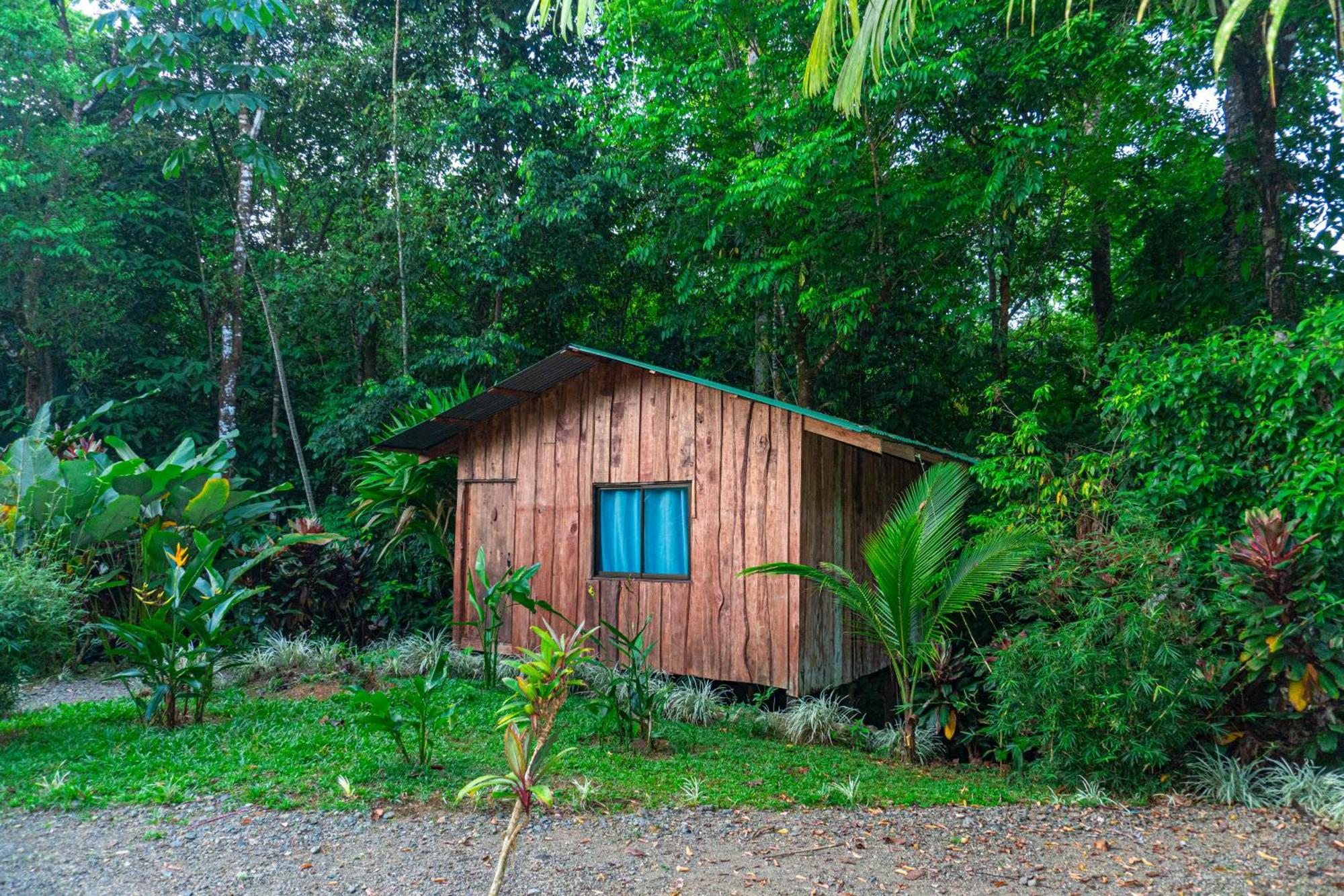Citronela Lodge Corcovado Drakes Bay Esterno foto