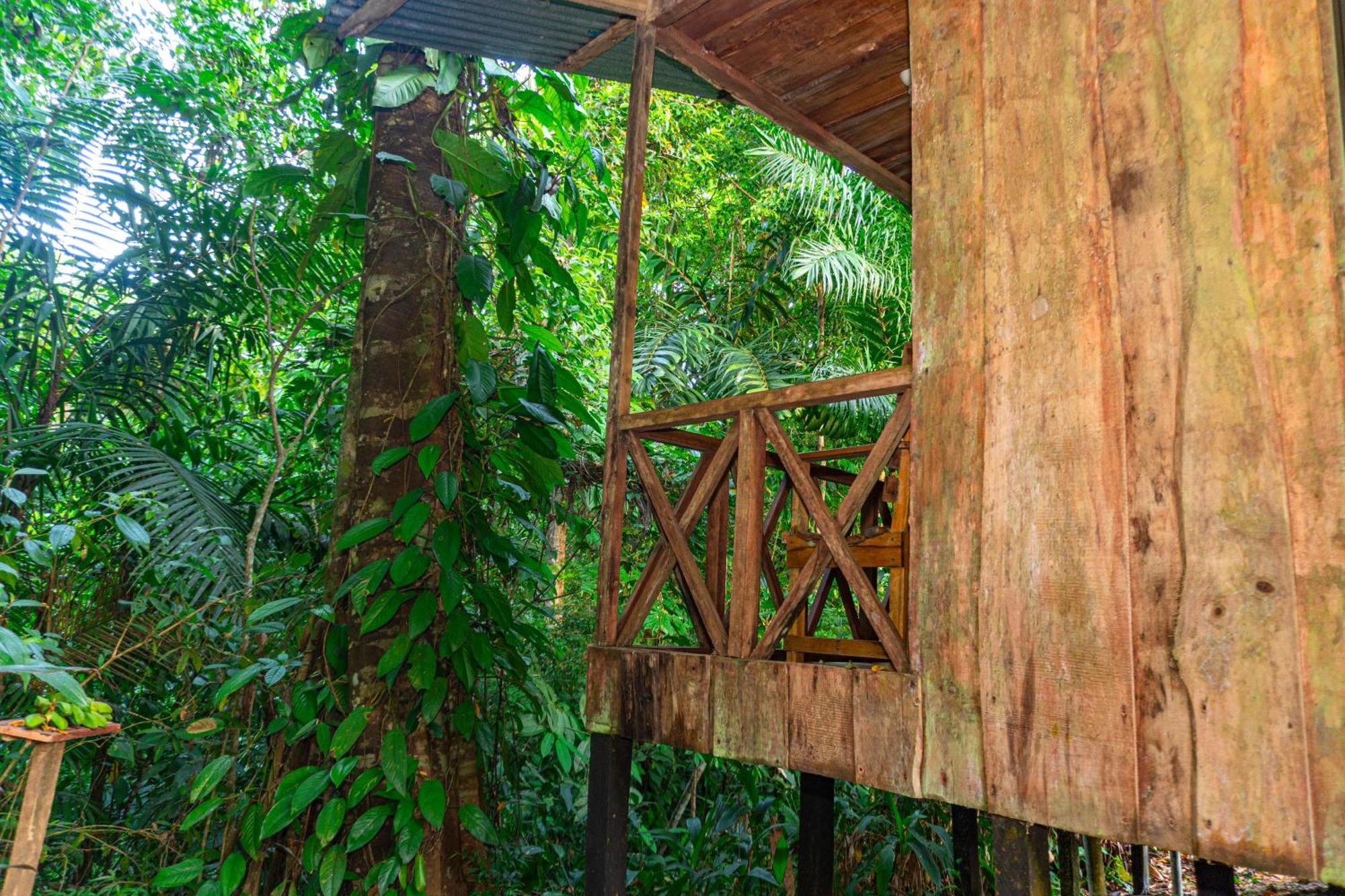 Citronela Lodge Corcovado Drakes Bay Esterno foto