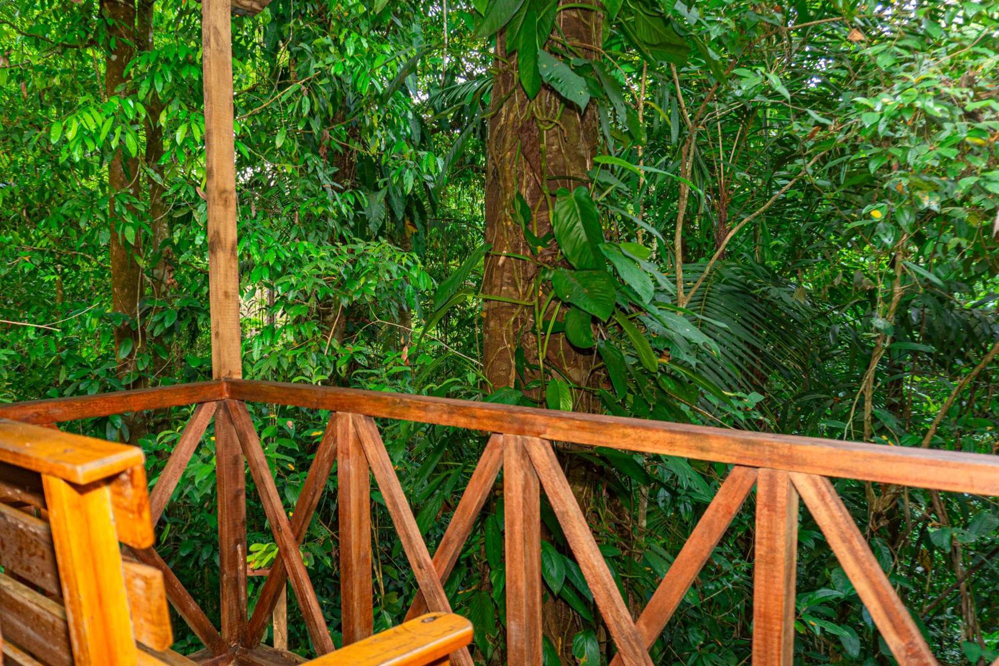 Citronela Lodge Corcovado Drakes Bay Esterno foto