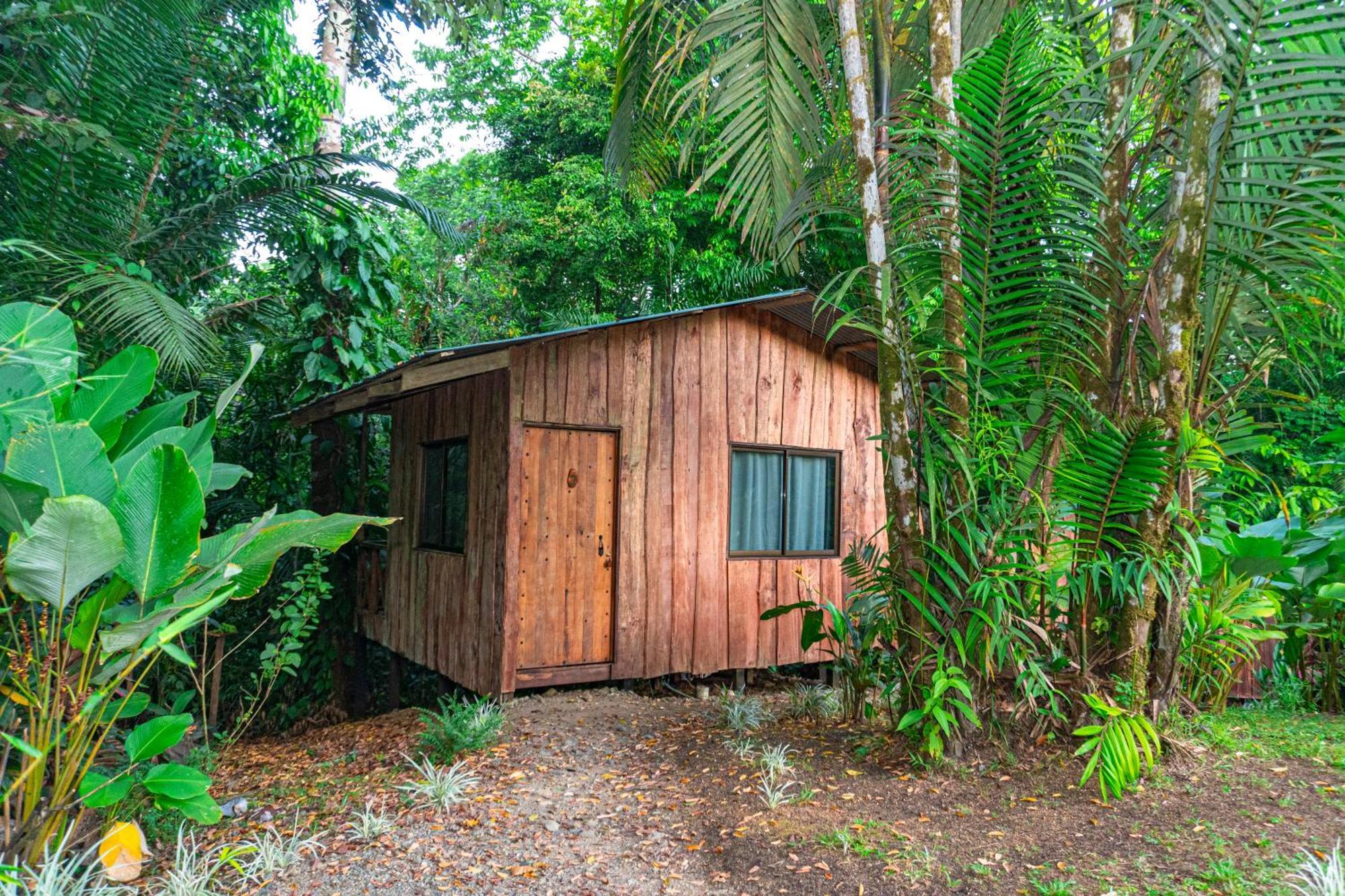 Citronela Lodge Corcovado Drakes Bay Esterno foto