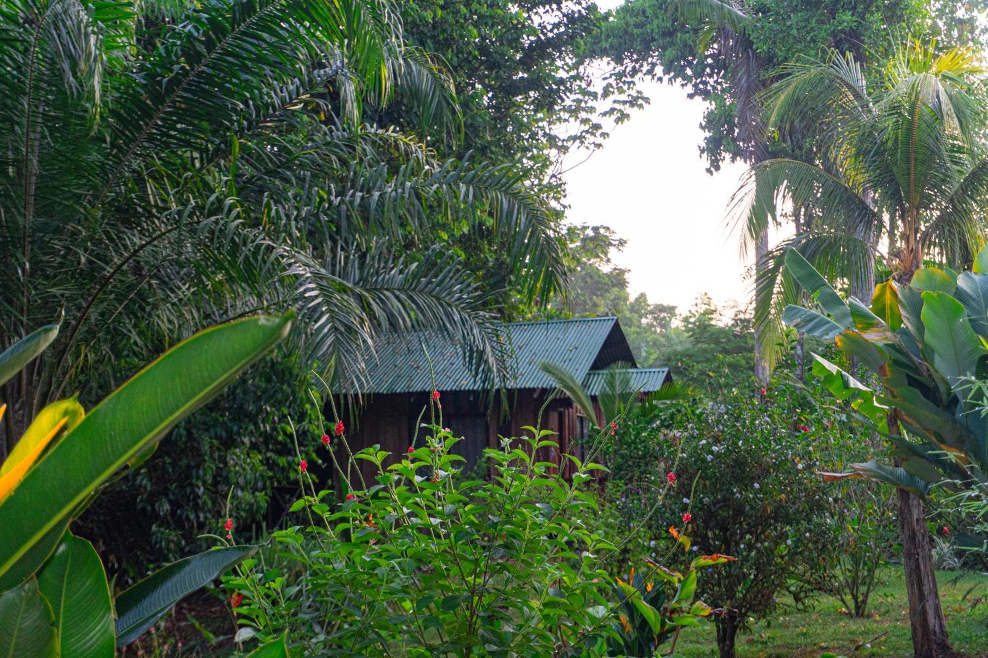 Citronela Lodge Corcovado Drakes Bay Esterno foto