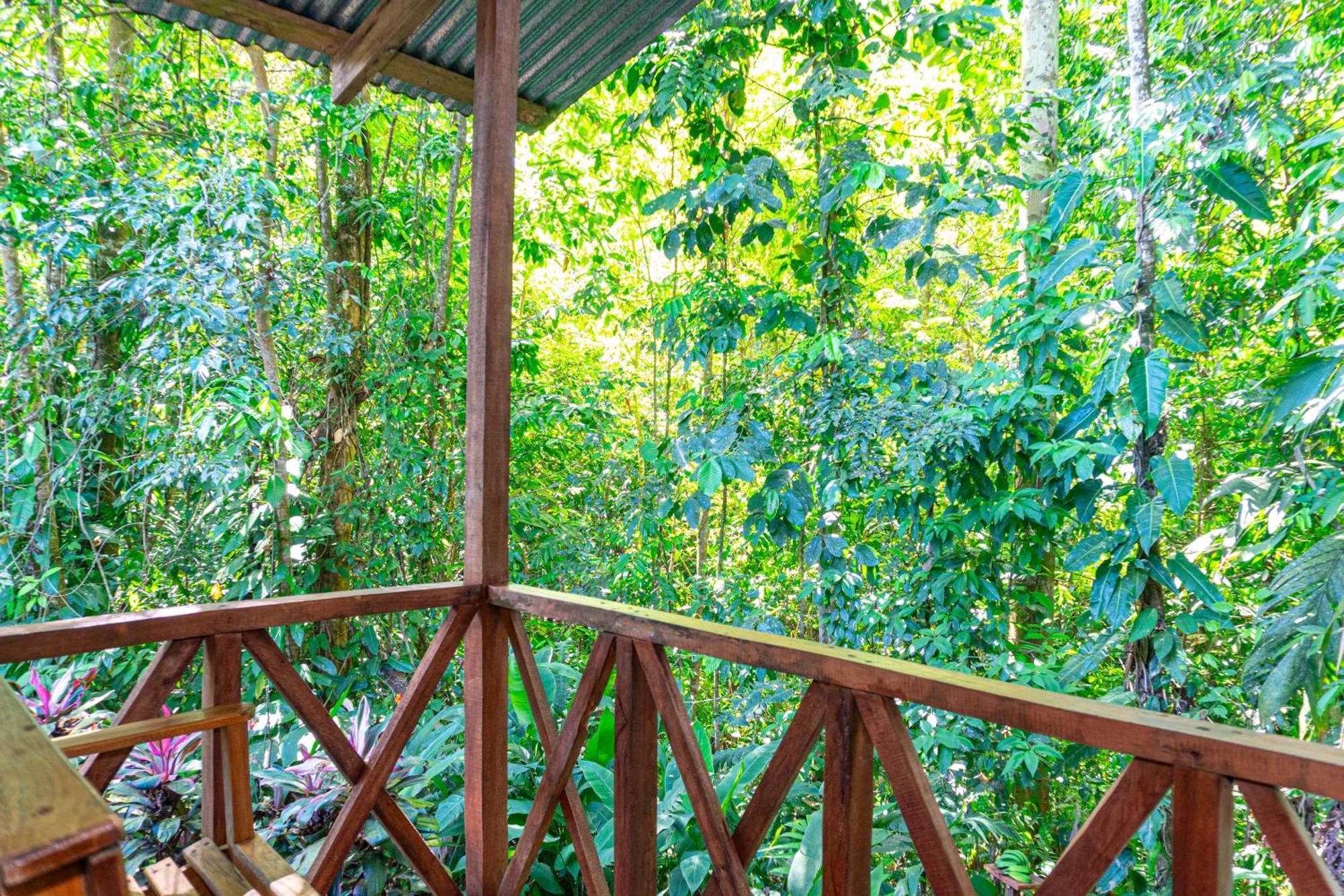 Citronela Lodge Corcovado Drakes Bay Esterno foto