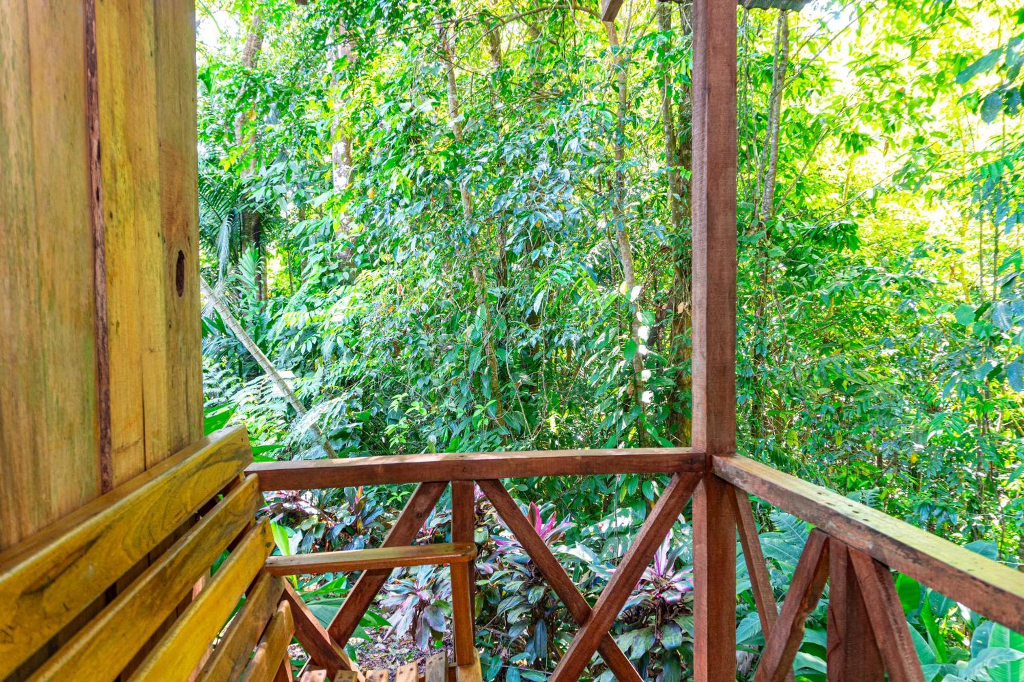 Citronela Lodge Corcovado Drakes Bay Esterno foto