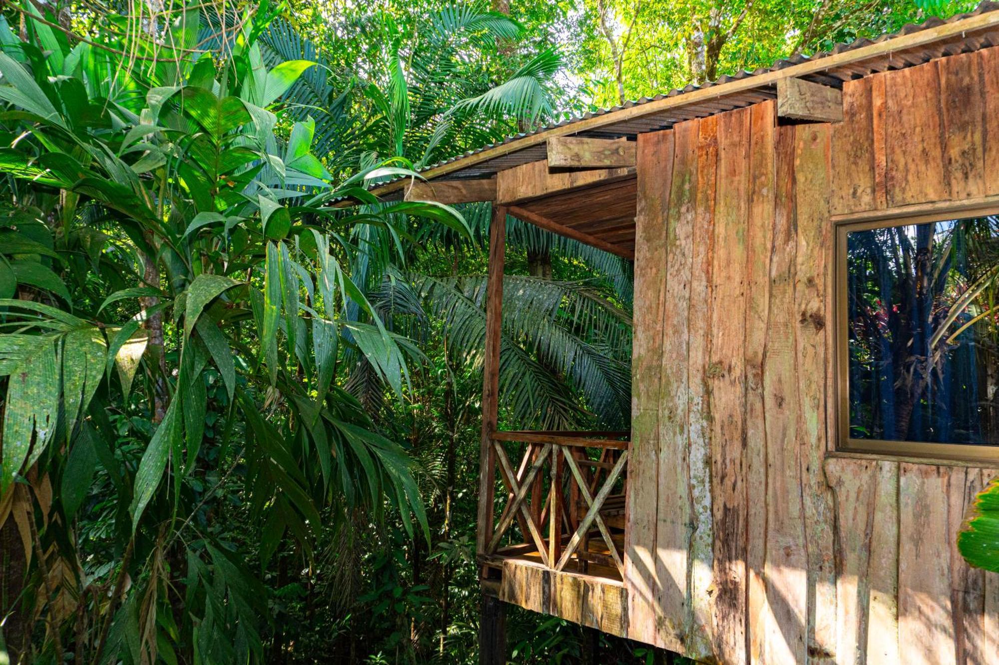 Citronela Lodge Corcovado Drakes Bay Esterno foto