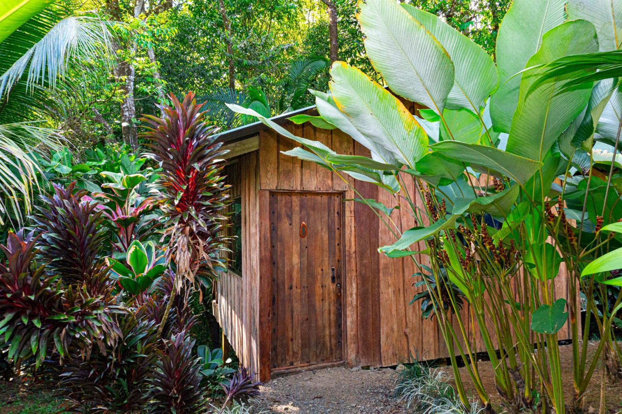 Citronela Lodge Corcovado Drakes Bay Esterno foto