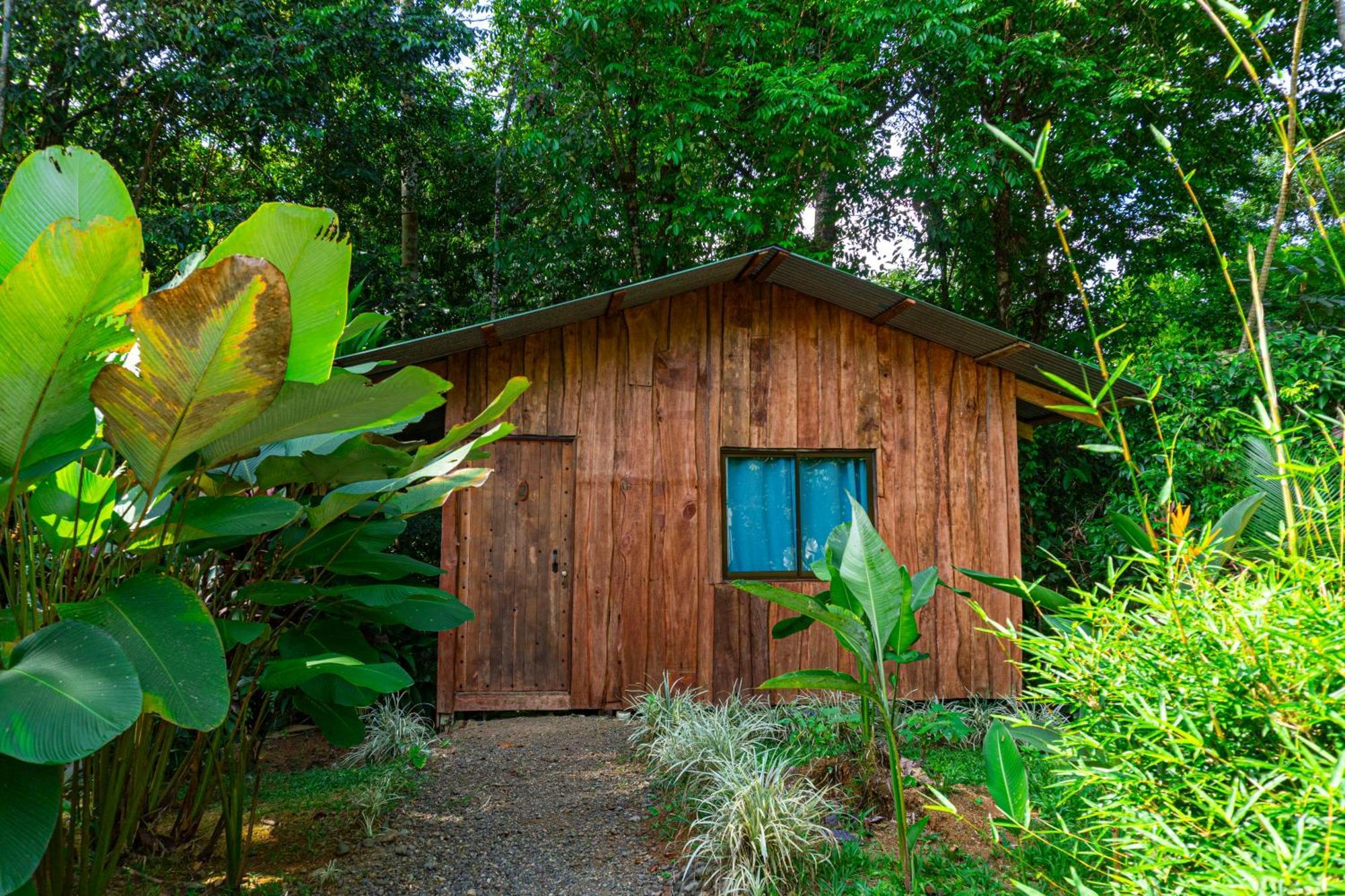 Citronela Lodge Corcovado Drakes Bay Esterno foto