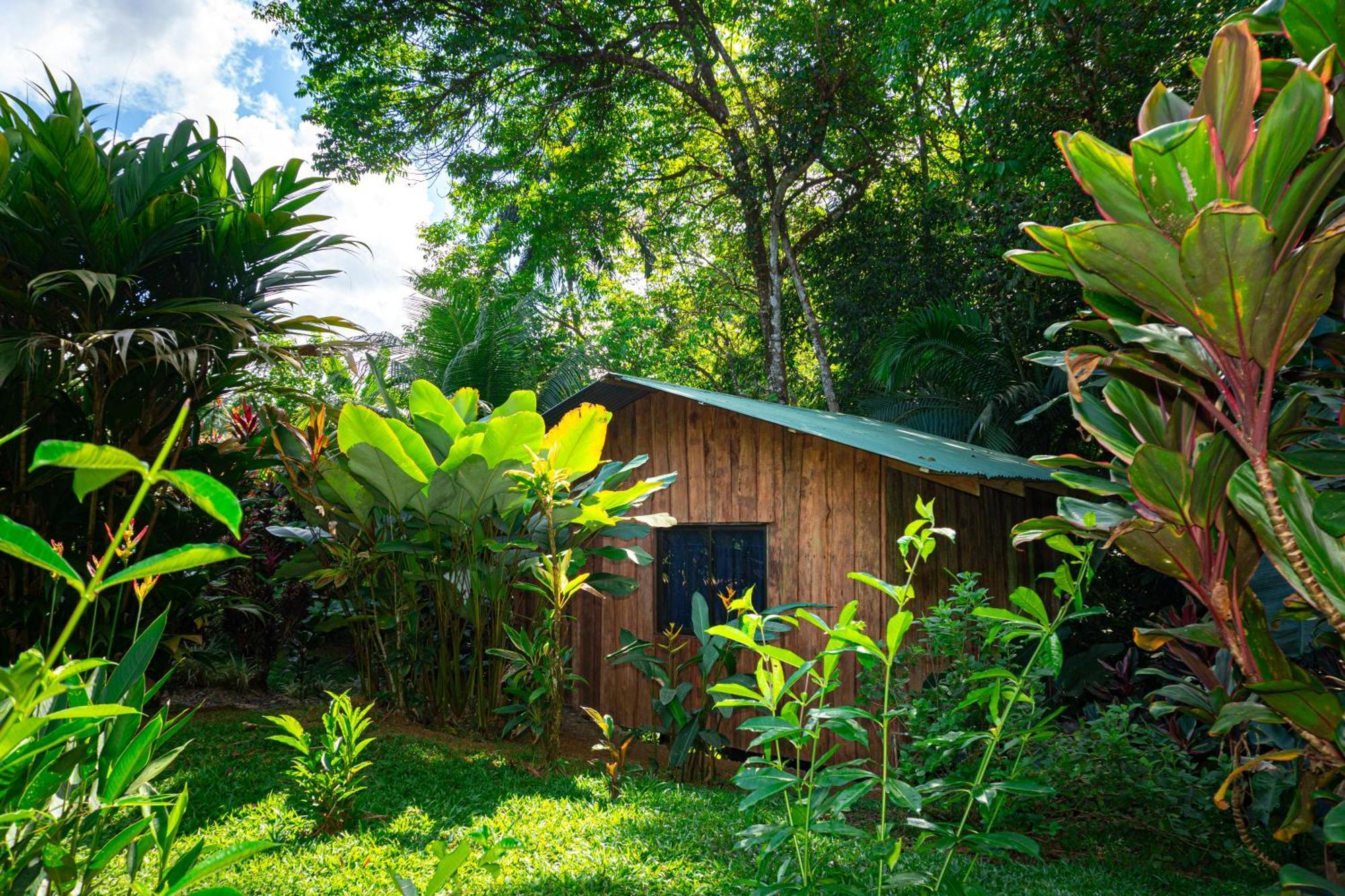 Citronela Lodge Corcovado Drakes Bay Esterno foto