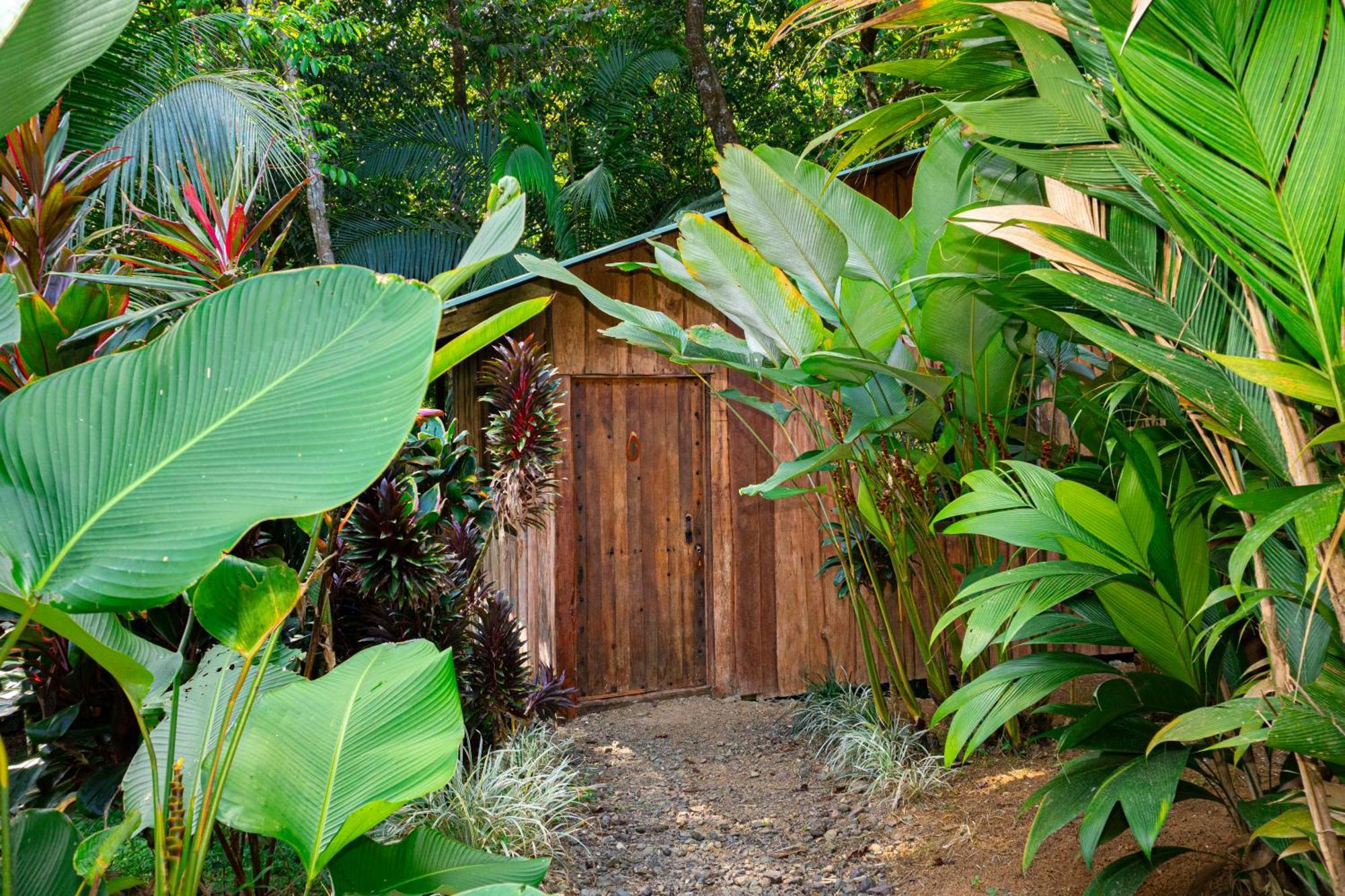 Citronela Lodge Corcovado Drakes Bay Esterno foto