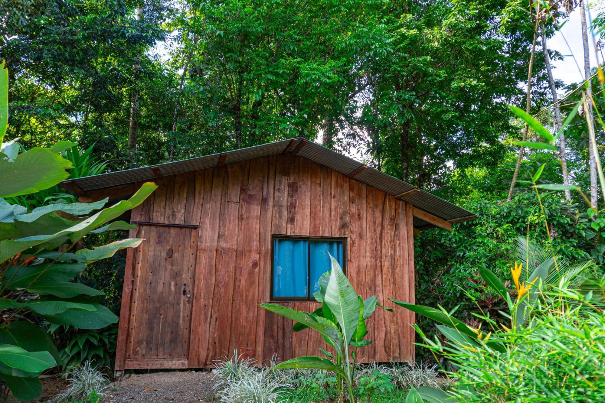 Citronela Lodge Corcovado Drakes Bay Esterno foto