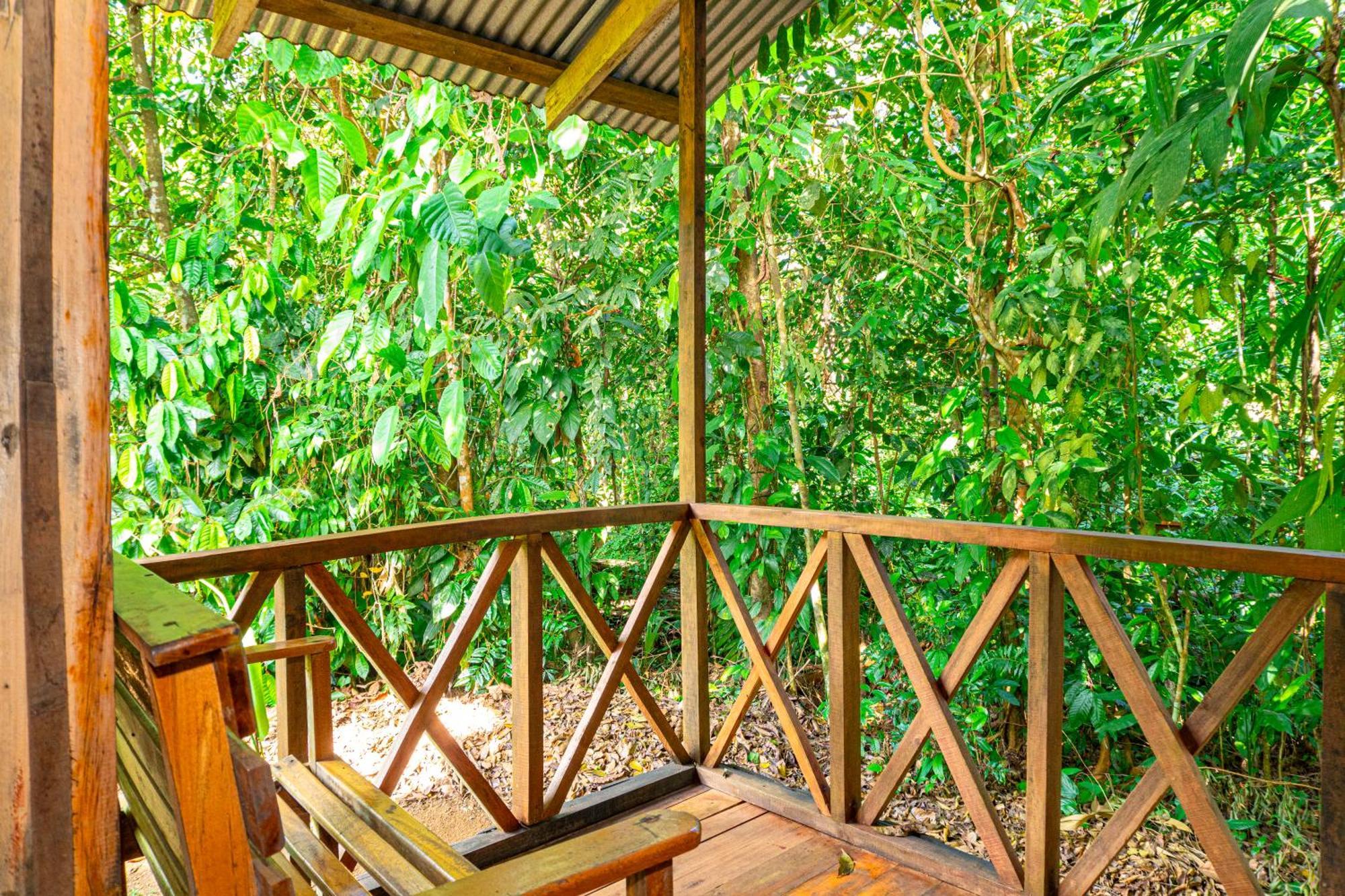 Citronela Lodge Corcovado Drakes Bay Esterno foto